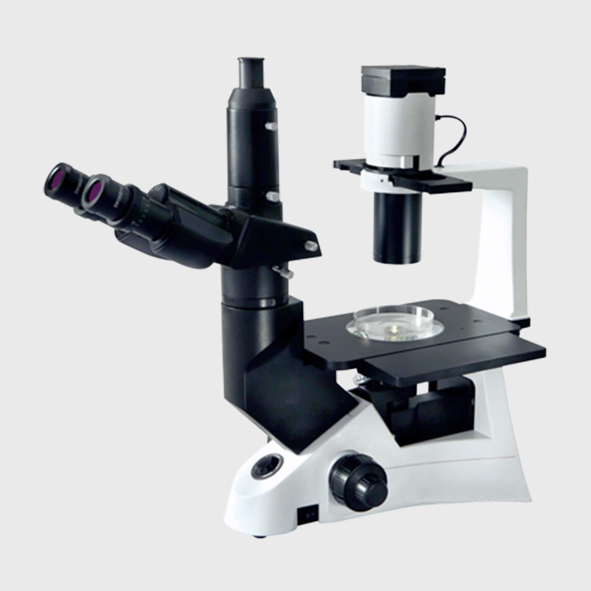 Magnus Microscope (INVI)