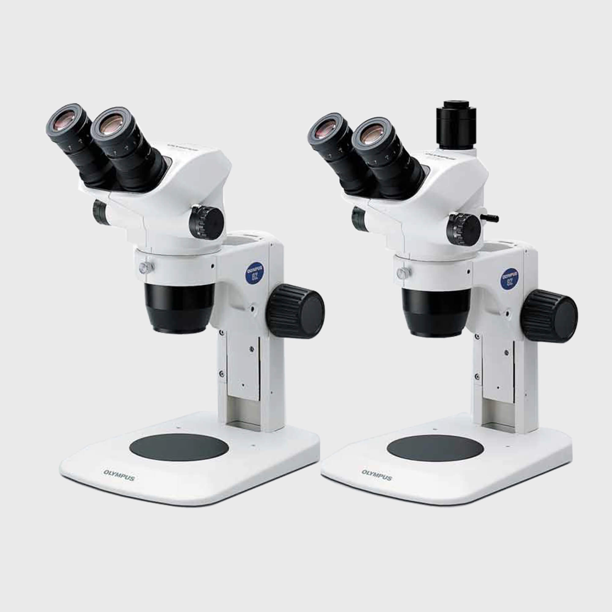 Olympus Stereo Zoom Microscope